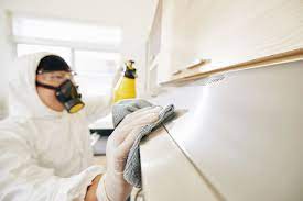 When to Call the Experts: Signs You Need Professional Mold Removal Services