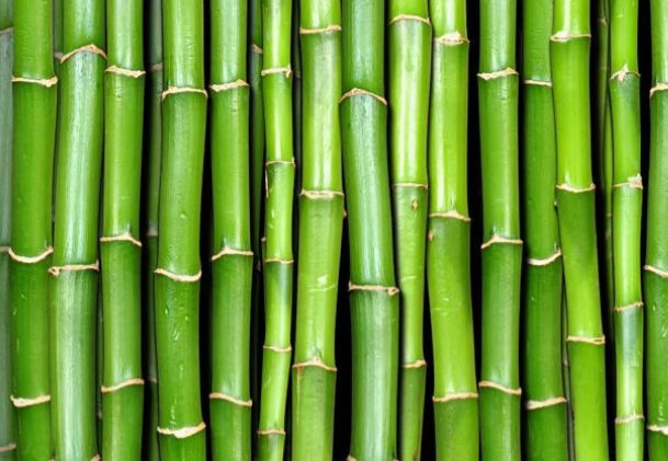 What is Bamboo Vinegar Composed of?