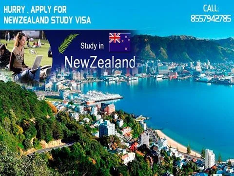 Welcoming Wanderers A Comprehensive Guide to New Zealand Visas for Visitors and Entry Visa Procedures